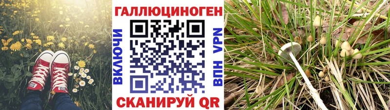Купить закладки  Углич  Псилоцибиновые грибы мицелий 